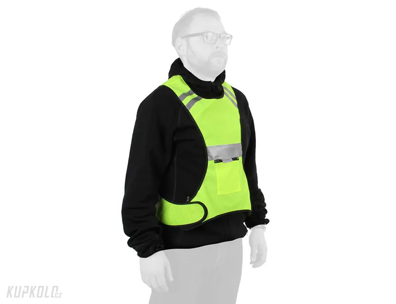 Vesta&#x20;reflexn&#x00ED;&#x20;dosp&#x011B;l&#x00E1;